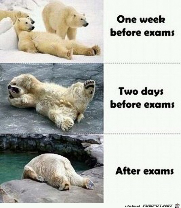 Examen Examen