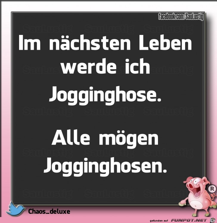 In meinem naechsten Leben In meinem naechsten Leben