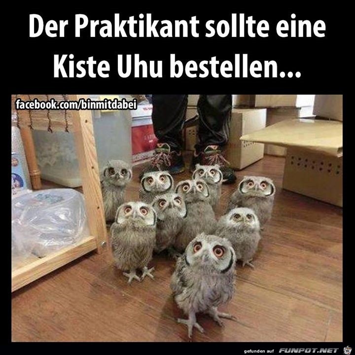 uhu uhu
