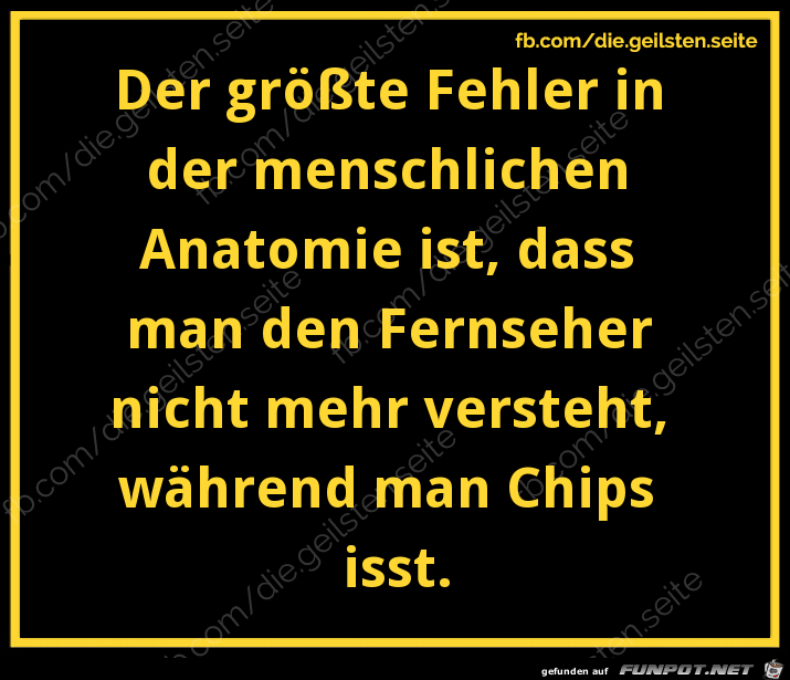 Anatomie Anatomie