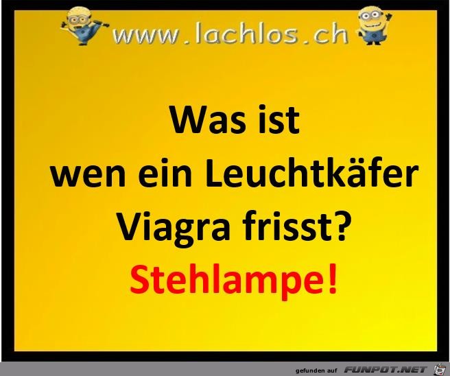 leuchtkaefer leuchtkaefer