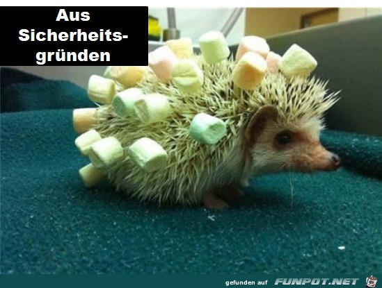 Sicherheitsgruende Sicherheitsgruende