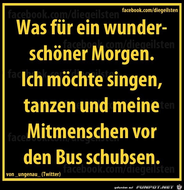diegeilsten Morgen diegeilsten Morgen
