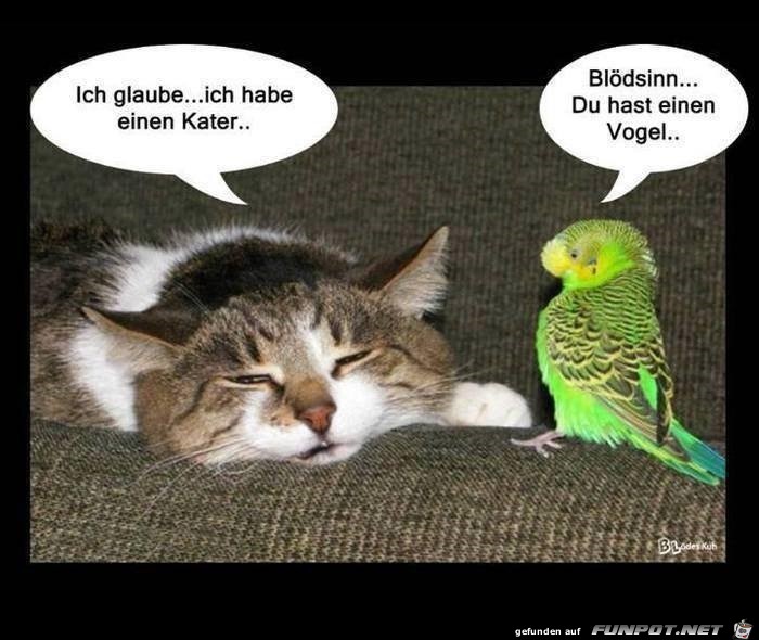 Ich glaube... Ich glaube...