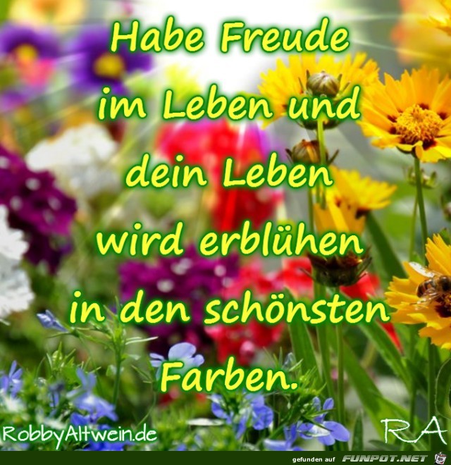 Habe Freude Habe Freude
