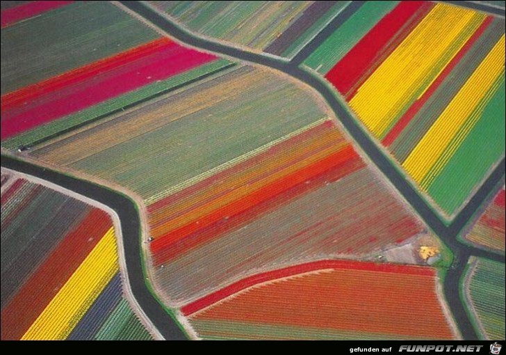 image003310 image003310