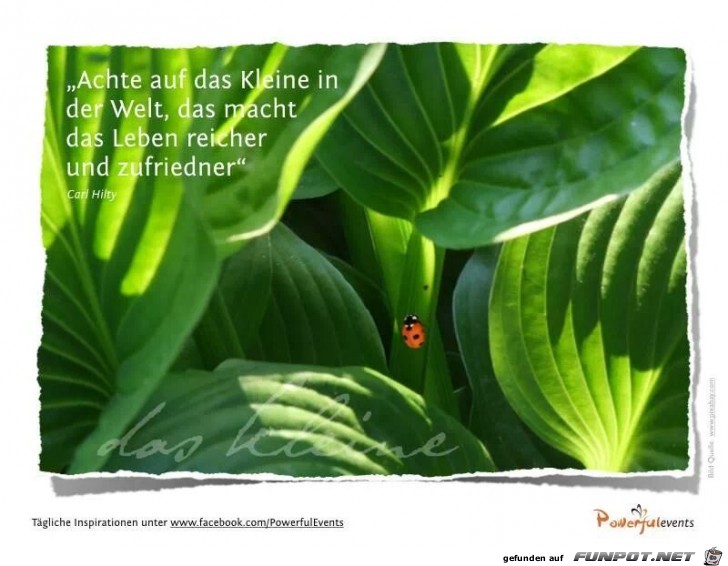 achte achte
