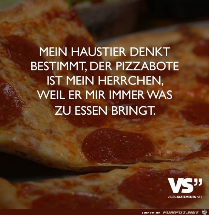 haustier haustier