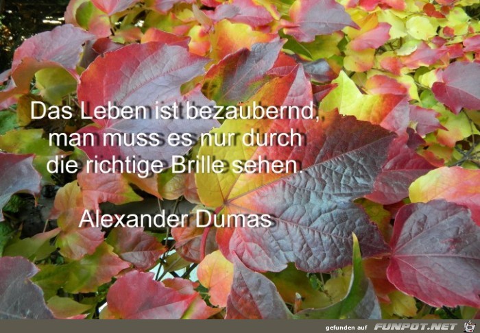 Das Leben ist bezaubernd Das Leben ist bezaubernd