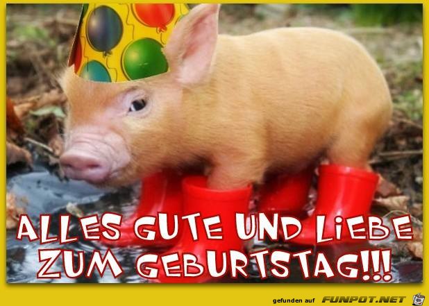 Alles Gute