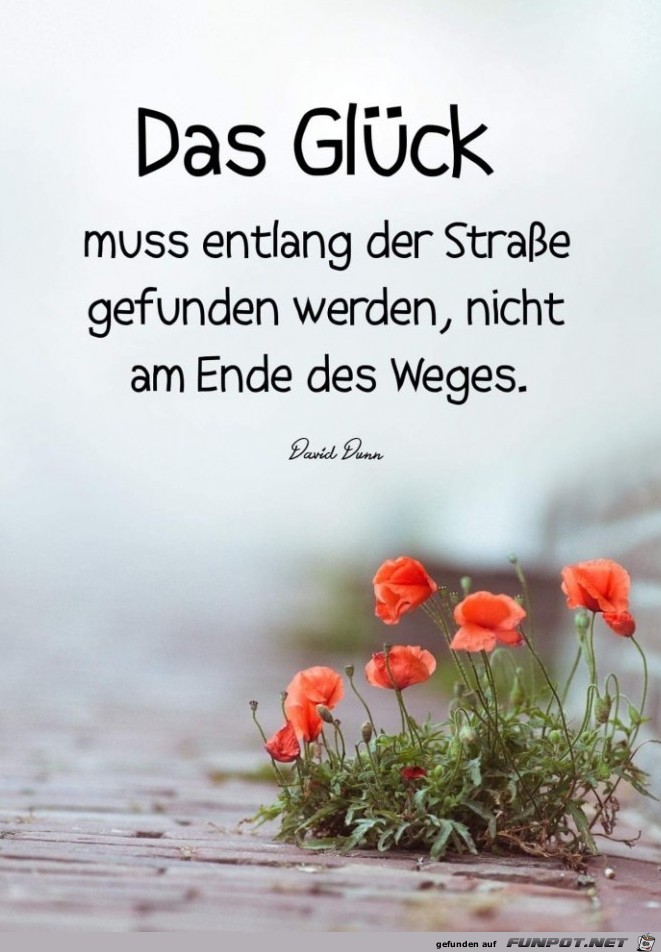 das Glueck muss das Glueck muss