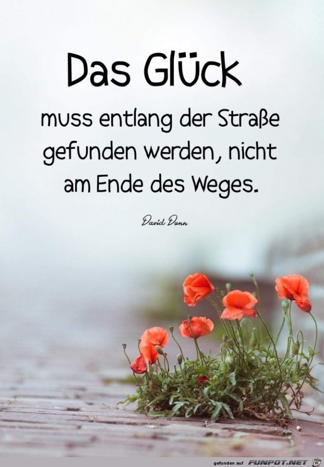 das Glueck muss