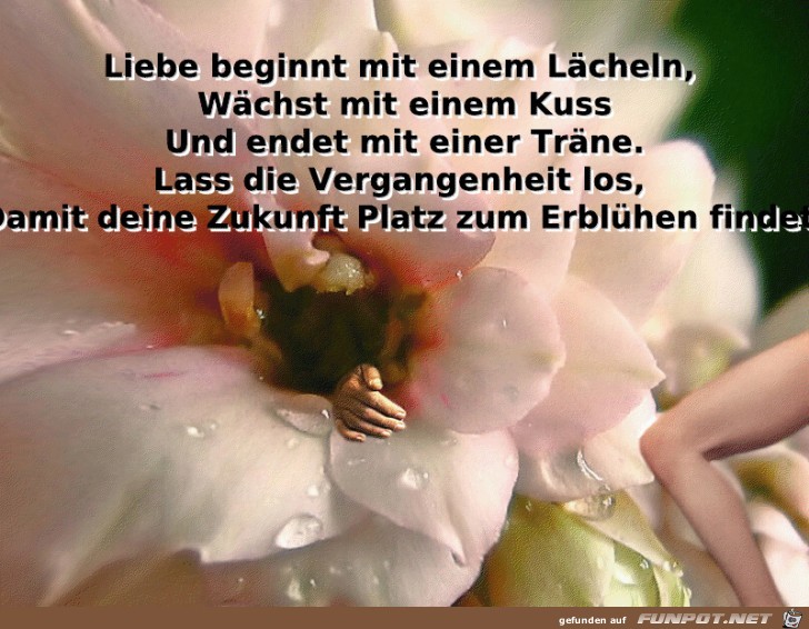 Liebe beginnt