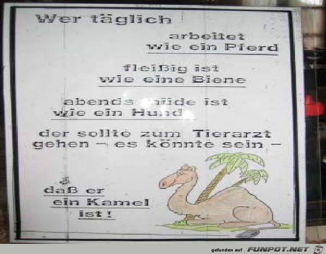 taeglich taeglich