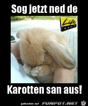 Karotten Karotten