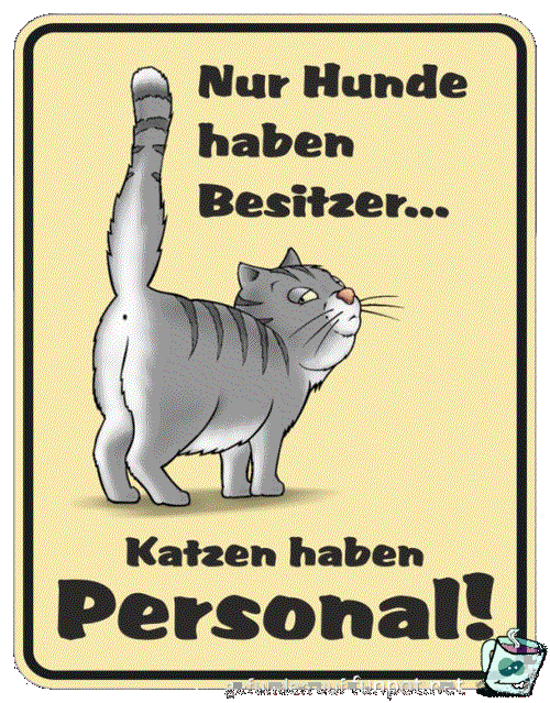 Hunde haben Besitzer, aber Katzen...