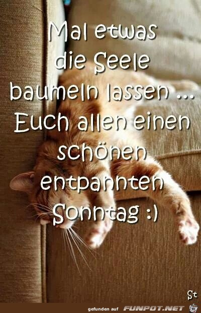 Seele baumeln lassen Seele baumeln lassen