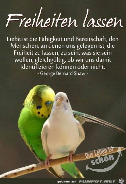 Freiheiten lassen Freiheiten lassen