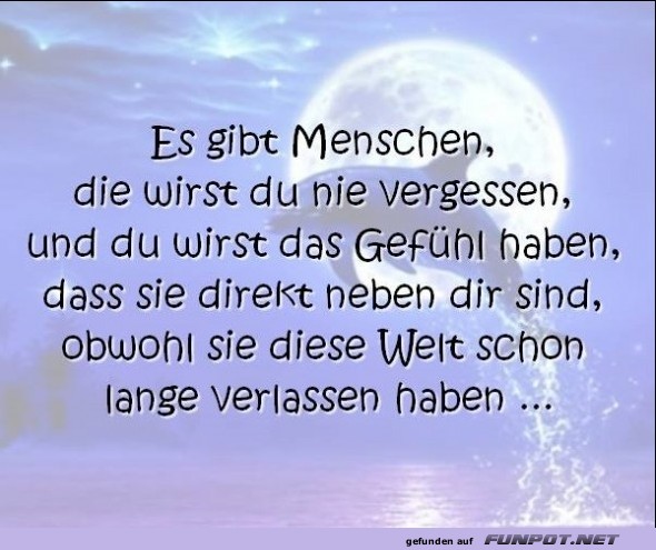 10 sch�ne Spr�che und Lebensweisheiten aus...