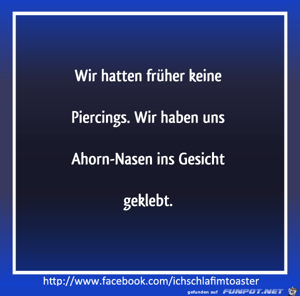 Ahorn-Nasen Ahorn-Nasen