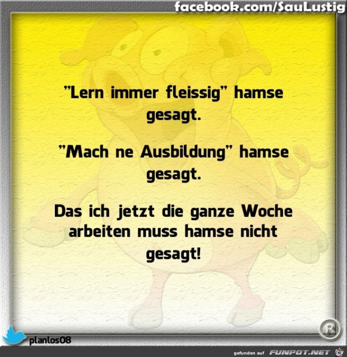  Das hamse gesagt