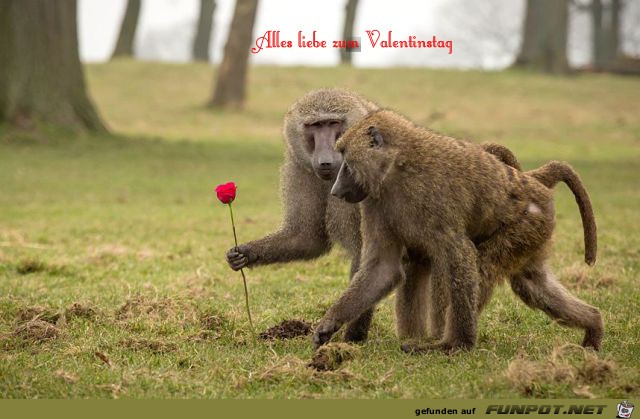 Valentinstag