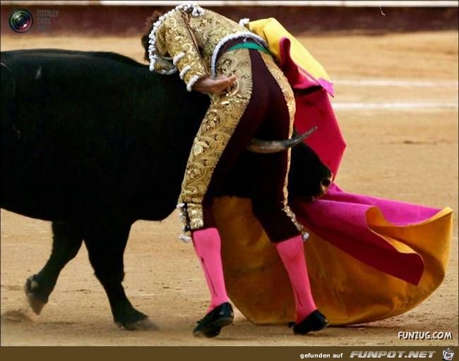 Bulls Brutal Revenge Funzug org 16 Bulls Brutal Revenge Funzug org 16