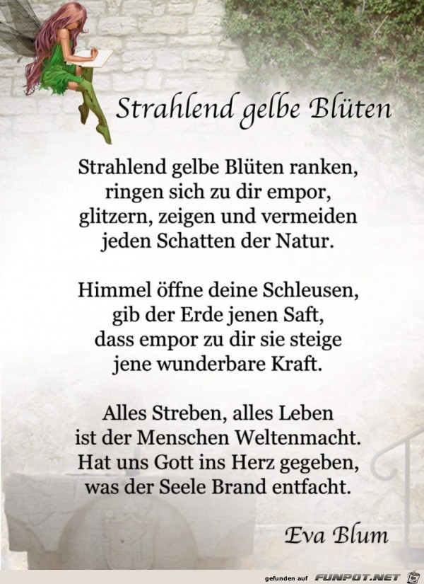 gelbe Blüten gelbe Blüten