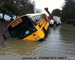 bus11 bus11