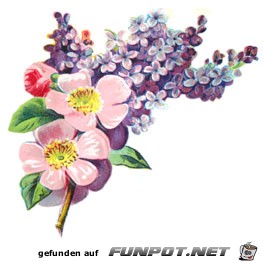 spring-flowers-6 spring-flowers-6