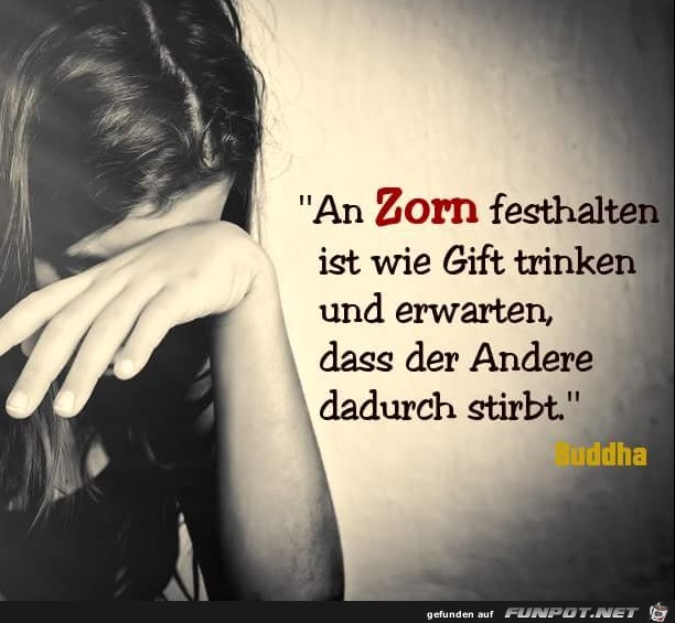 Am Zorn festhalten...