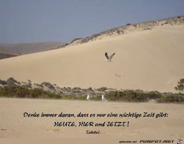 Denke immer daran... Denke immer daran...