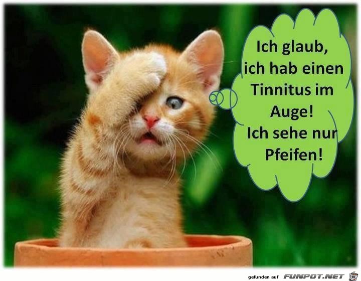 ich-glaub-ich-hab-einen-tinnitus-im-auge-ich-sehe-nur-pfeife ich-glaub-ich-hab-einen-tinnitus-im-auge-ich-sehe-nur-pfeife