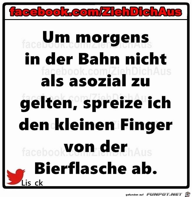 Morgens in der Bahn Morgens in der Bahn