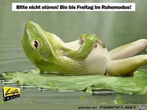 Ruhemodus Ruhemodus