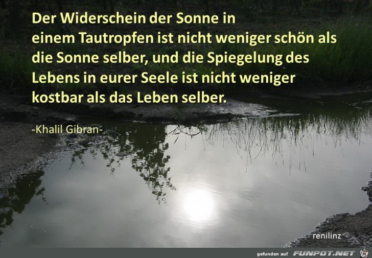 der widerschein der sonne der widerschein der sonne