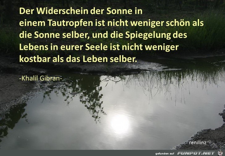 der widerschein der sonne