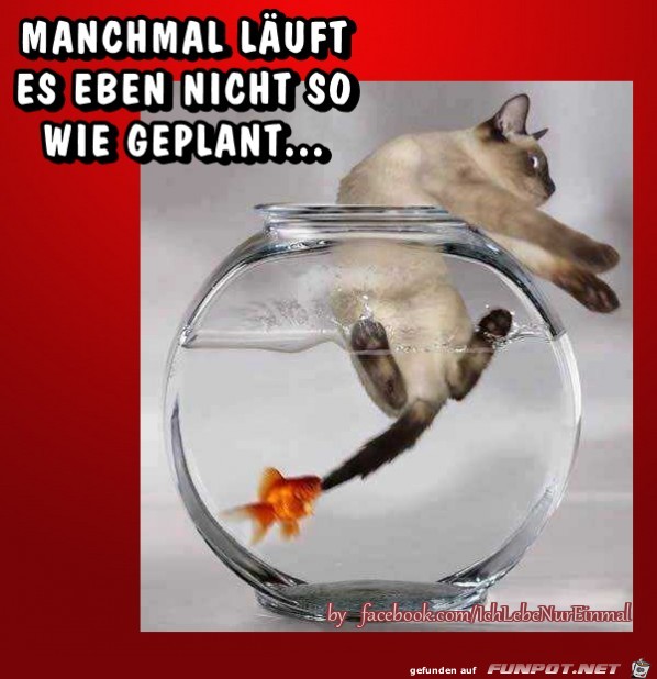 Manchmal