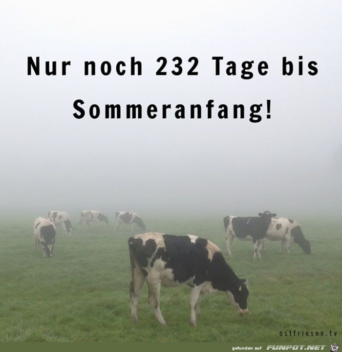 232 tage