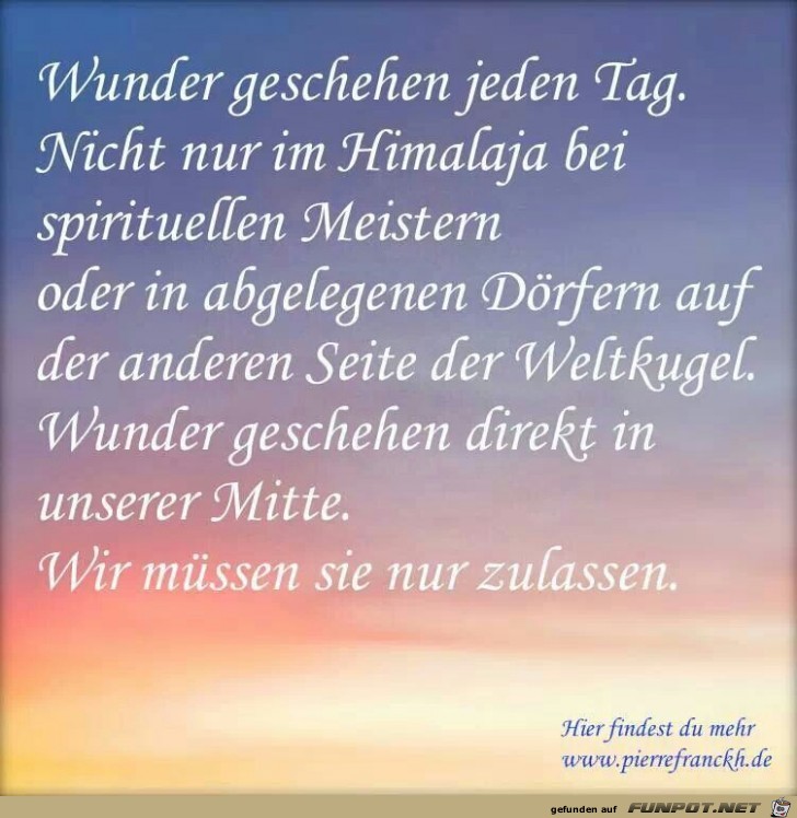 wunder wunder