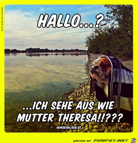 Hallo Hallo