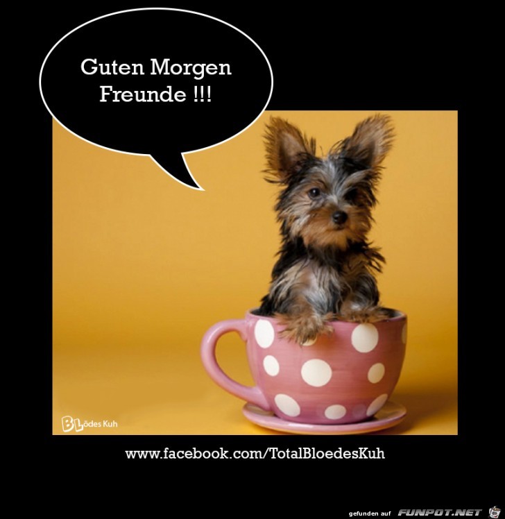 Guten Morgen Freunde