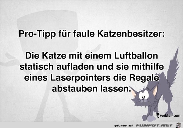 Tipp fuer Katzenbesitzer