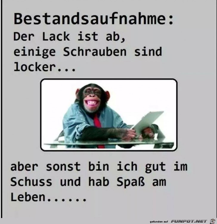 Bestandsaufnahme Bestandsaufnahme