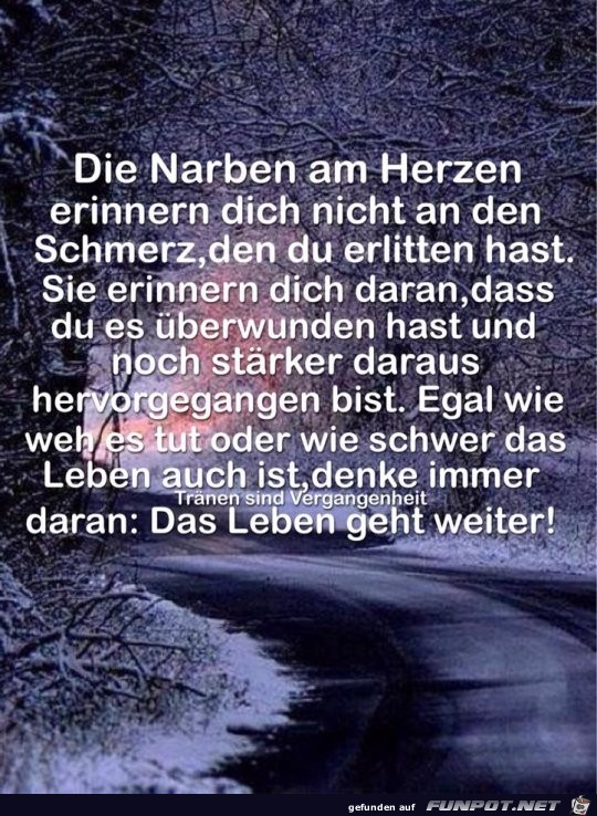 Die Narben amm Herzen