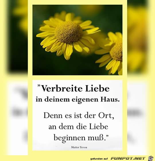 verbreite liebe