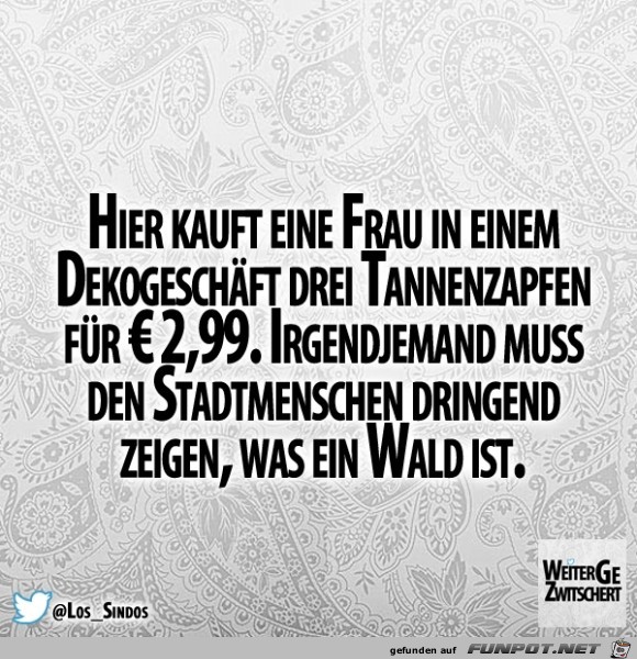 Tannenzapfen Tannenzapfen