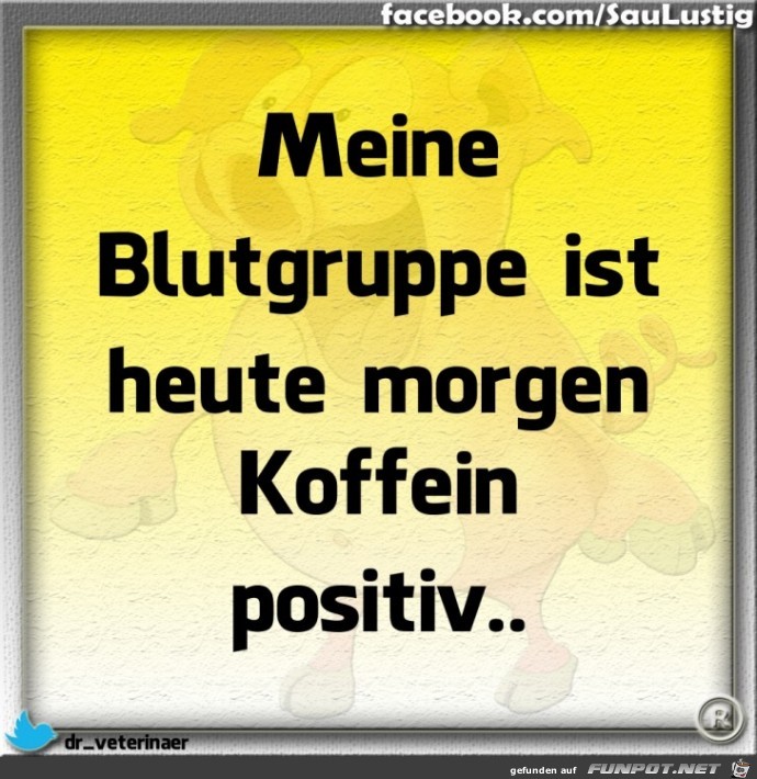 Meine Blutgruppe ist Meine Blutgruppe ist