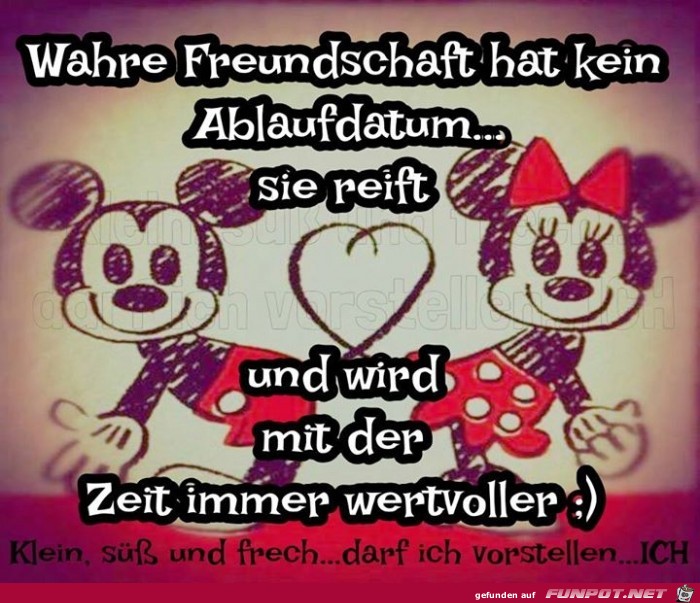 wahre freundschaft 2 