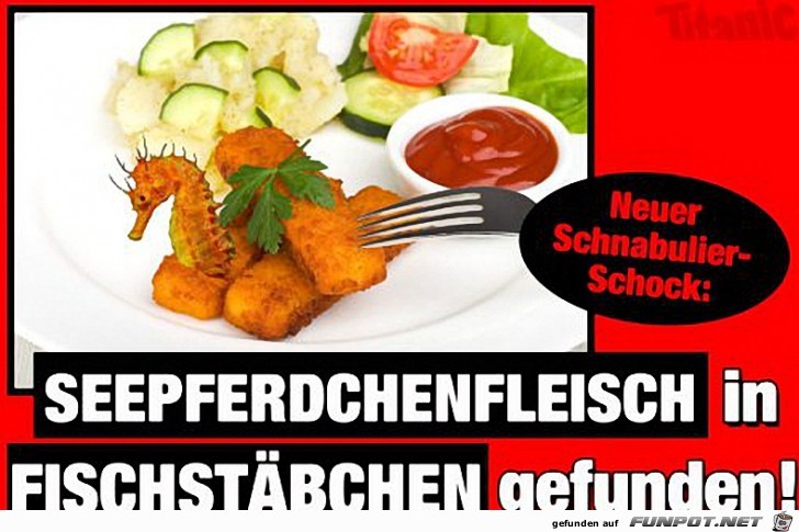Seepferdchenfleisch Seepferdchenfleisch